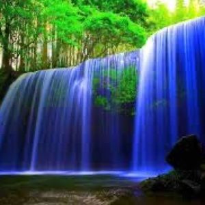 Meet your Posher, Dianna